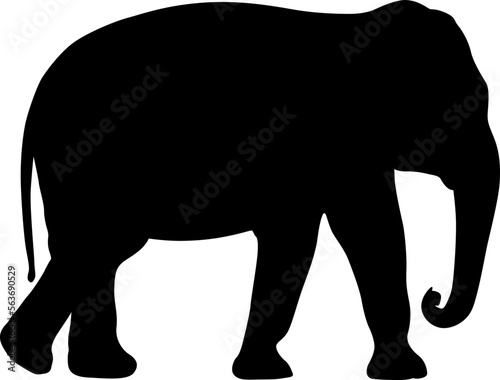 Silhouette large African elephant on a white background