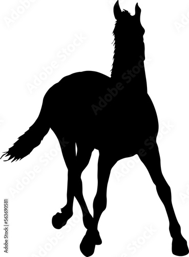 silhouette of black mustang horse vector illustration