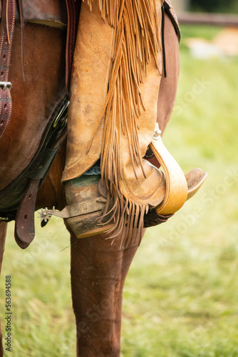Western lifestyle photo taken from the rear view of the lower leg and foot of a cowboy riding a horse with its foot in the stirrup and wearing leather chaps and cowboy boots. © Janice