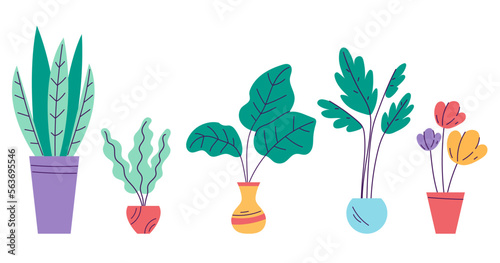 Home flower plant in pot isolated on white background set. Doodle line art style concept set. Vector cartoon graphic design element illustration