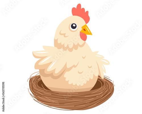 a cute white hen sits in a nest and waits for chicks. incubate bird eggs. flat vector illustration.