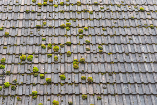 A horizontal texture of part of an old gray roof of clay tiles with green