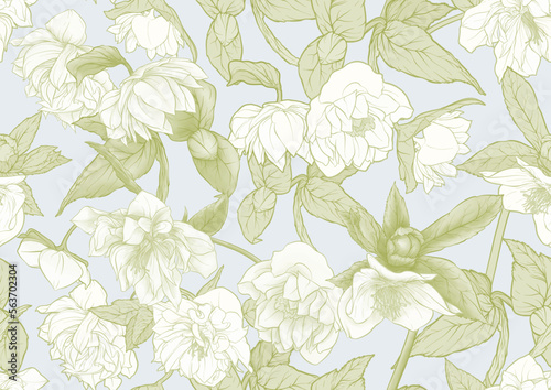 White hellebore flowers, the first spring flowering ranunculus. Spring floral motif. Seamless pattern, background. Vector illustration in botanical style © Elen Lane