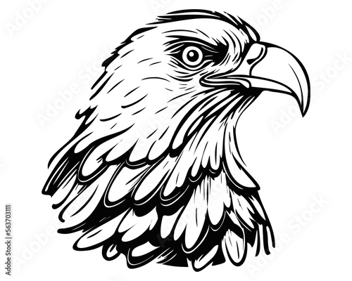 black and white head of an American eagle. predatory bird. flat vector illustration.