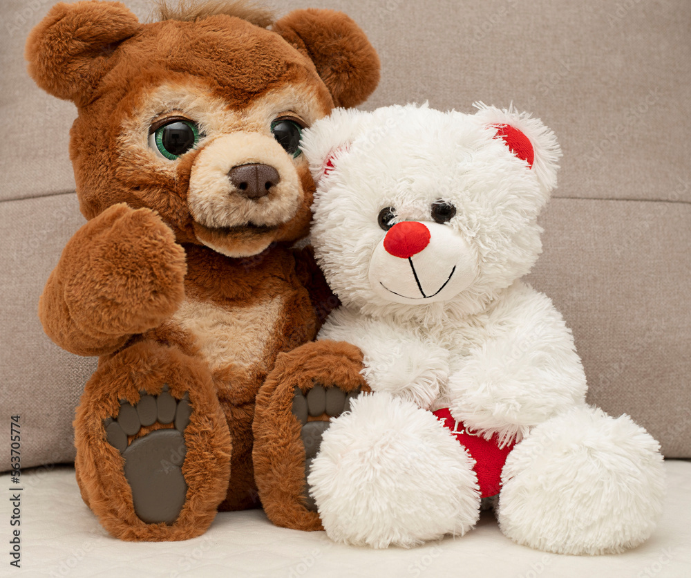 Valentine's Day concept. Two cute teddy bears in brown and white are sitting on a sofa with a red heart. Love. Children's toy.