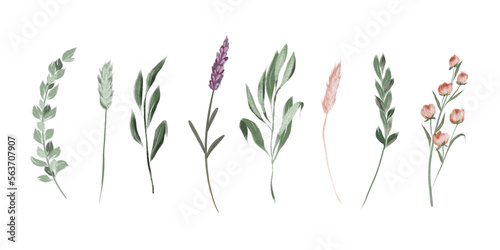 Set of lavender flowers and green branches  diy floral clipart  isolated illustration