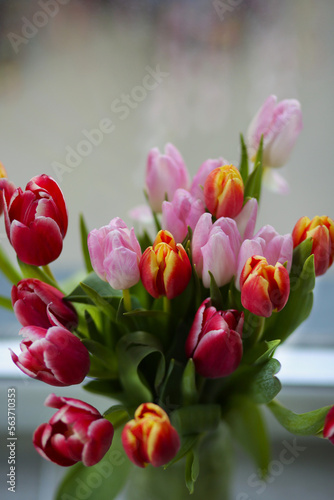 beautiful  colorful tulips in a vase  stand by the window  spring mood