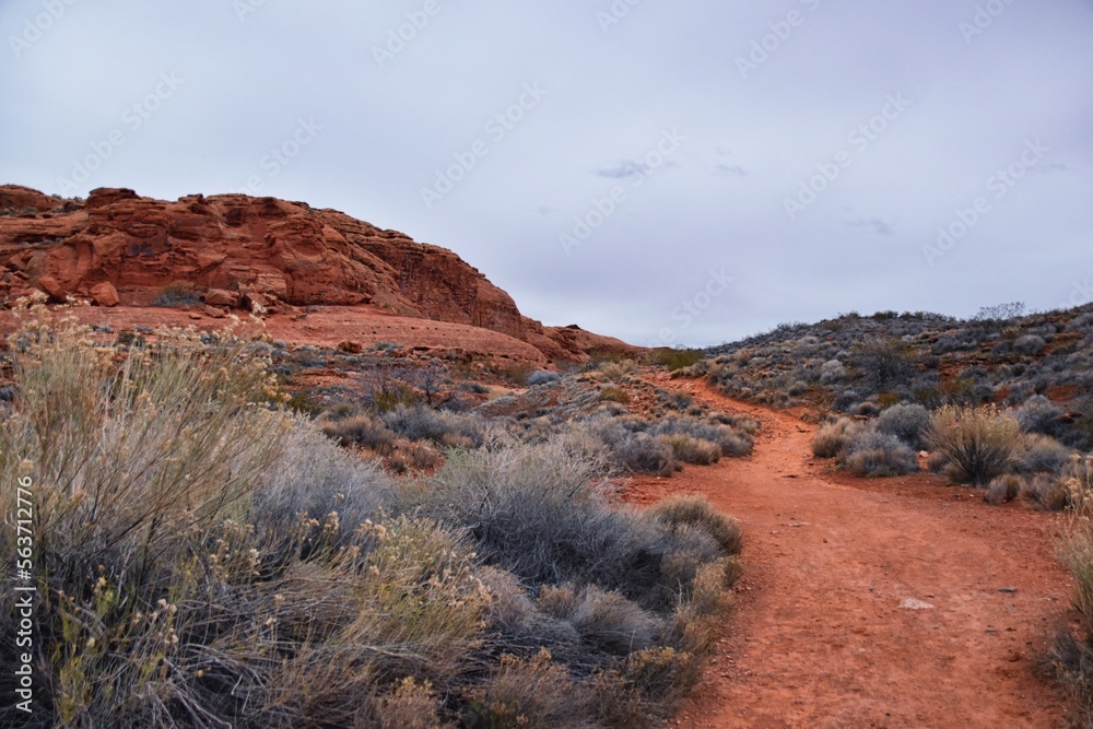Obraz premium Chuckawalla and Turtle Wall trail desert hiking views Cliffs National Conservation Area Wilderness, Snow Canyon State Park St George, Utah, United States.