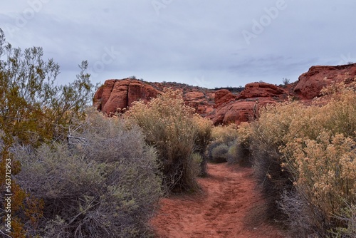 Chuckawalla and Turtle Wall trail desert hiking views Cliffs National Conservation Area Wilderness, Snow Canyon State Park St George, Utah, United States. photo