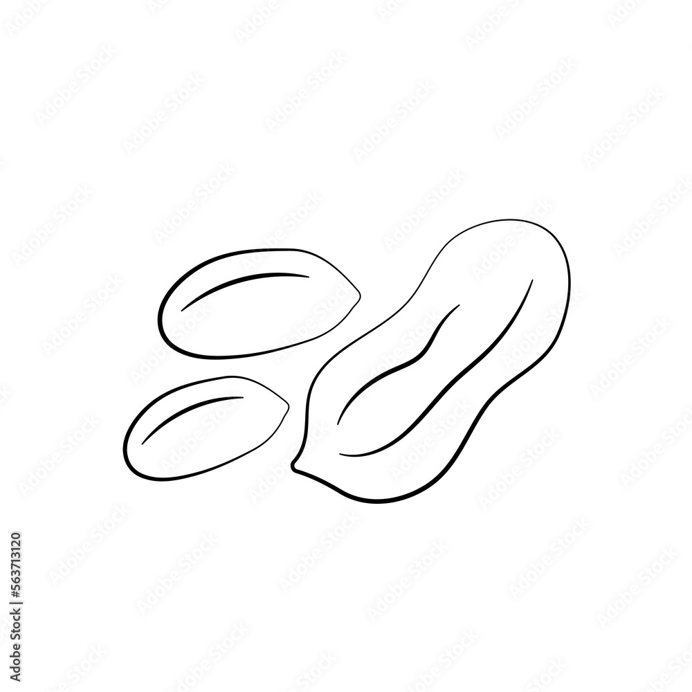 Peanuts in cartoon style. Nut icon for template label, packaging snackand emblem. Vector Peanuts in cartoon style. Nut icon for template label, packaging snackand emblem. Vector