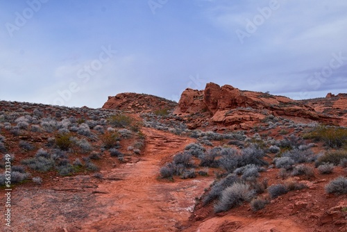 Chuckawalla and Turtle Wall trail desert hiking views Cliffs National Conservation Area Wilderness, Snow Canyon State Park St George, Utah, United States. photo