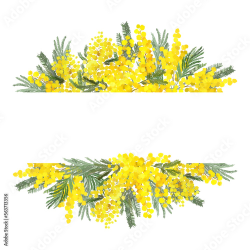 Floral frame of mimosa flowers. Yellow spring border