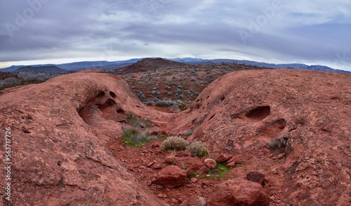 Chuckawalla and Turtle Wall landscape views from trail  Cliffs National Conservation Area Wilderness Snow Canyon State Park St George, Utah photo