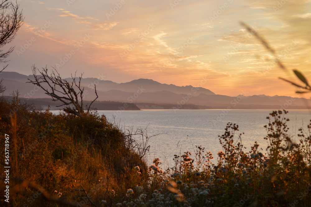 custom made wallpaper toronto digitalSunset Over the Olympic Mountains and Washington Coastline