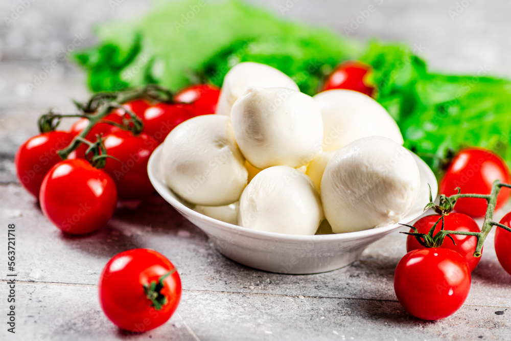 Mozzarella cheese with cherry tomatoes and herbs.