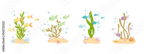 Cartoon flocks of fish in the aquarium swim among algae, shells, starfish. Vector graphics.