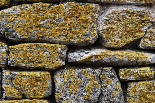 Mossy wall background