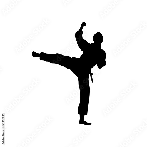 karate fighter silhouette
