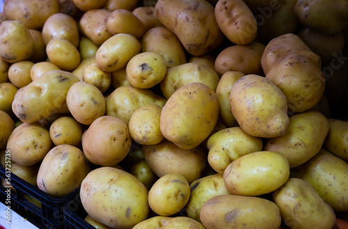 Closeup of fresh potatoes in plastic boxes on market counter..