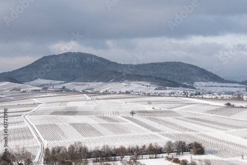 Weinberge im Winter an der Südlichen Weinstrasse
