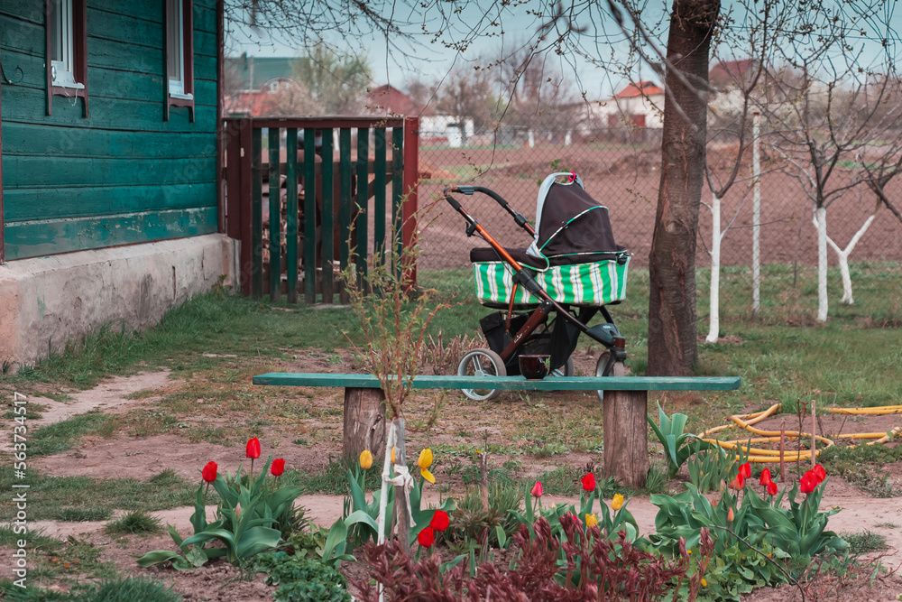 Baby carriage in the countryside at early spring. Vintage village. Eco healthy food, longevity. Nutrition, vitamins, minerals. Scenes with agriculture equipment and flowers and the blue sky.