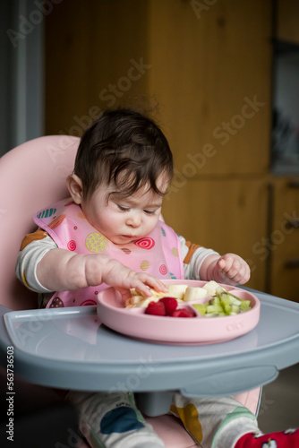 An eight-month-old baby  who is eating fruit for the first time  examines the fruit on his plate. Healthy eating for baby concept. daily lifestyle