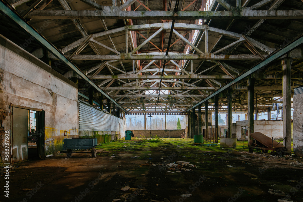 Old ruined industrial building overgrown by green moss and plants Old ruined industrial building overgrown by green moss and plants