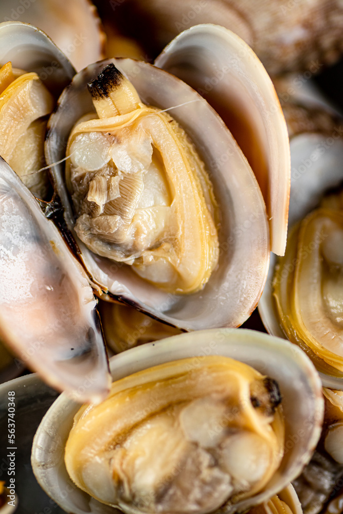 Fresh vongole. Macro background. Texture vongole. Fresh vongole. Macro background. Texture vongole.