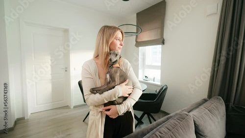 Dolly out: Caring young woman is holding her Italian Greyhound dog and looking away photo