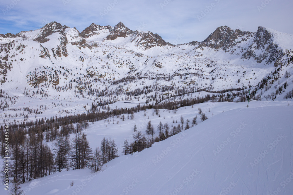 Winter snowy landscape. Nature scenery. Winter background. Alpine scenery.