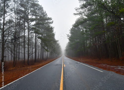 Empty paved highway road through the tall Georgia pine trees