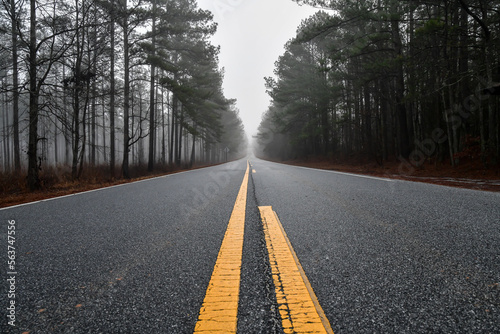 Empty paved highway road through the tall Georgia pine trees