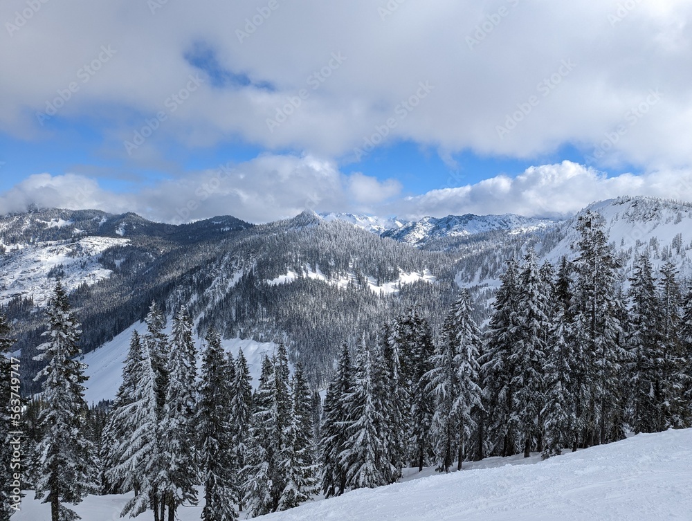 Fototapeta premium snow covered mountains