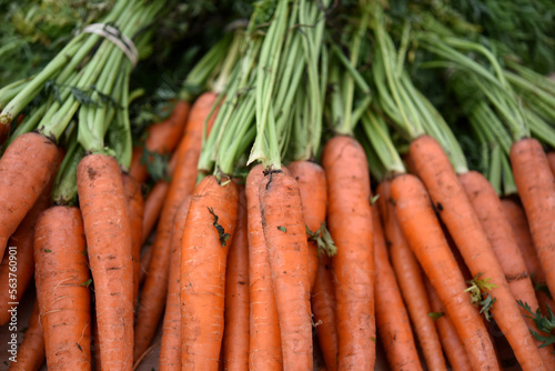 Closeup of organic carrots at a farmer's market
