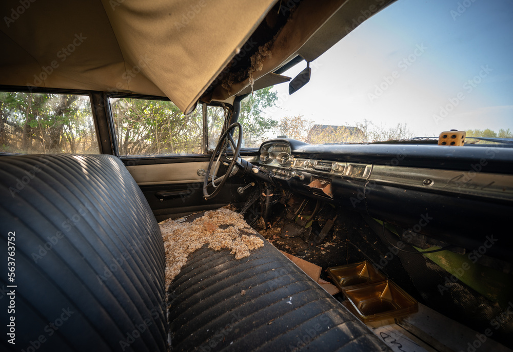Fototapeta premium The interior of an abandoned, rusting automobile