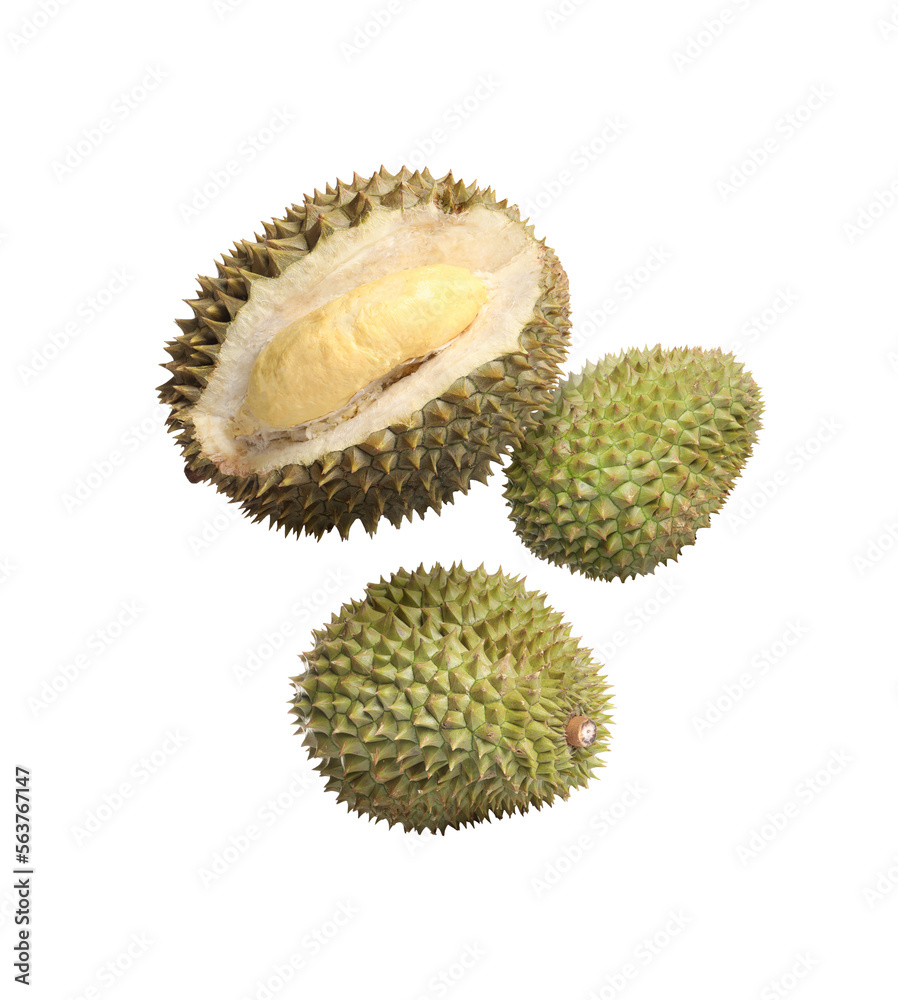 Fototapeta premium Delicious ripe durian fruits falling on white background