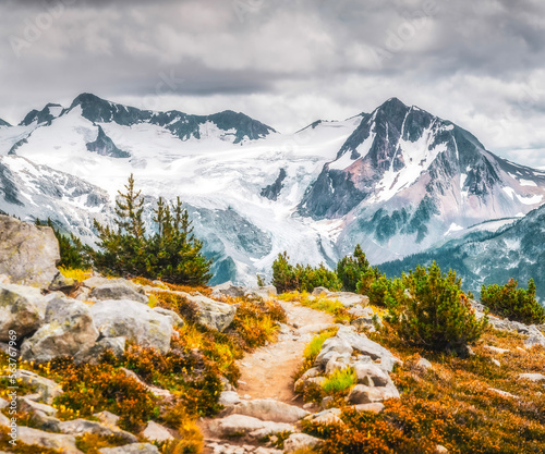 landscape with snow