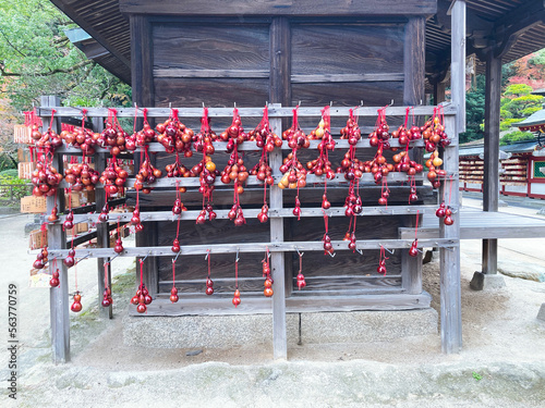 Dazaifu Tenmangu Shrine enshrining Sugawara no Michizane at Dazaifu City, Fukuoka, Japan photo