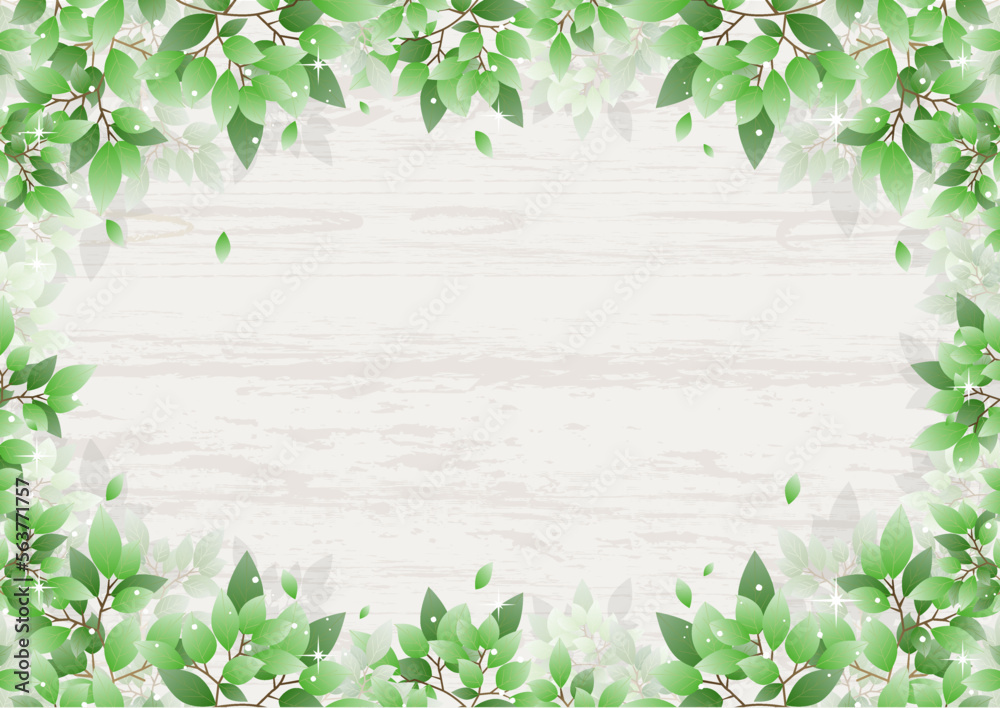 Naklejka premium 美しい新緑の背景素材