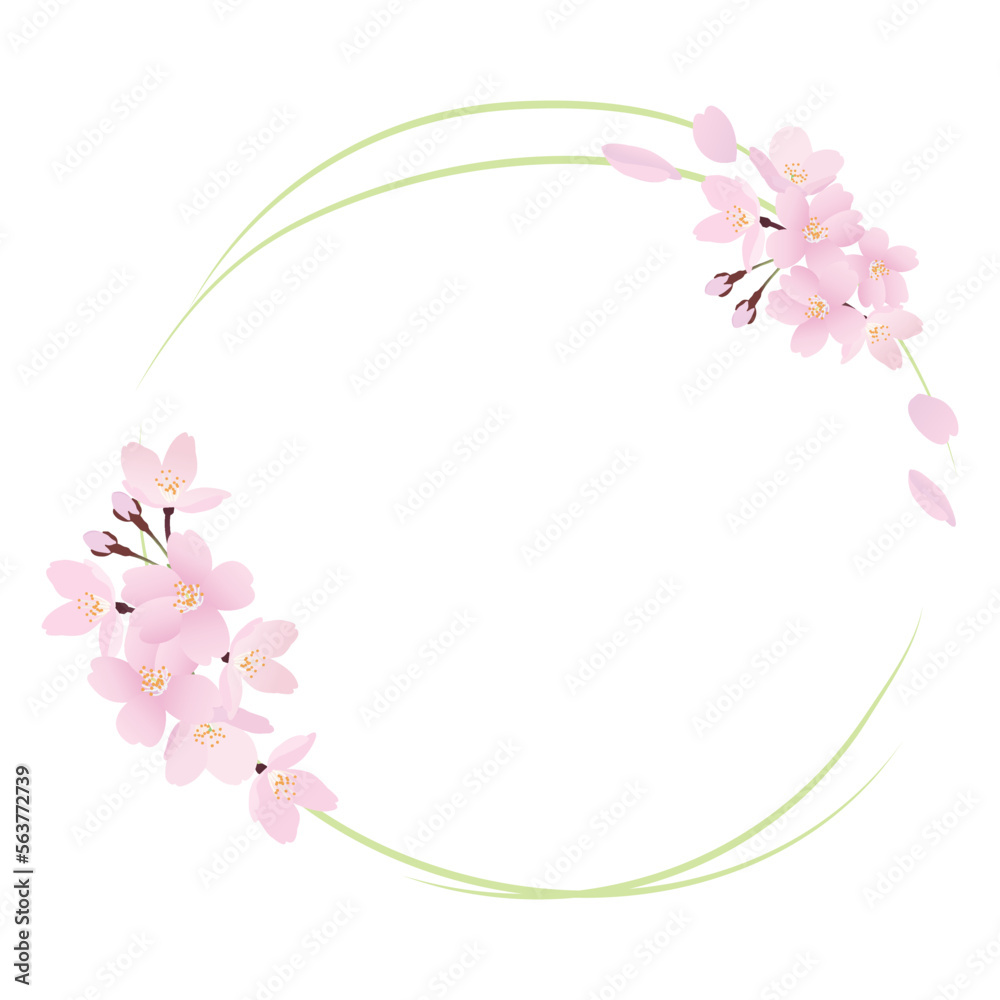 リアルな桜の花の円形のフレームイラスト