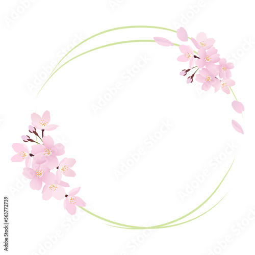 リアルな桜の花の円形のフレームイラスト