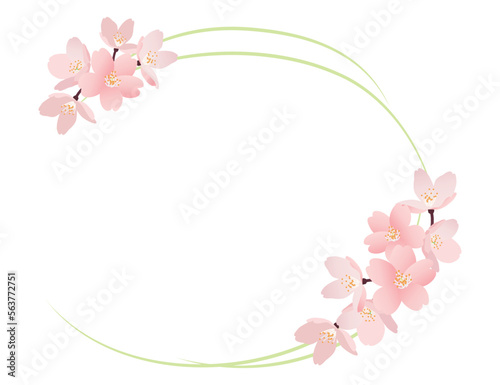 リアルな桜の花の楕円形のフレームイラスト