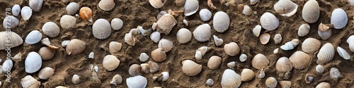seashells on the beach - panoramic extra wide landscape image of a sandy beach with colorful shells. Generative AI