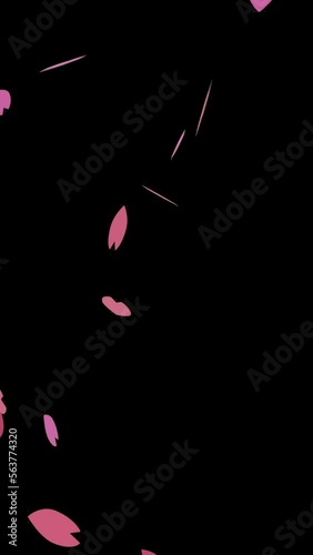 かわいいシンプルなピンク色の桜の花びらが吹きつける桜吹雪のループアニメーション縦長ビデオ（アルファチャンネル付）