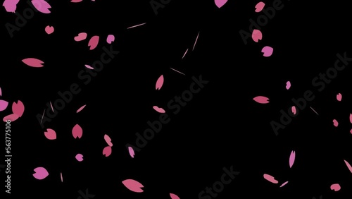 かわいいシンプルなピンク色の桜の花びらが吹きつける桜吹雪のループアニメーション動画（アルファチャンネル付）