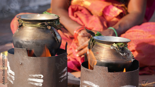Pongal celebration Tamil peoples 