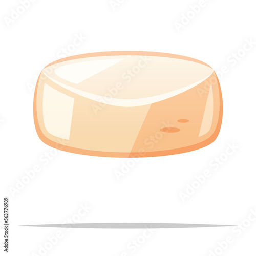 Raw scallop meat vector isolated illustration
