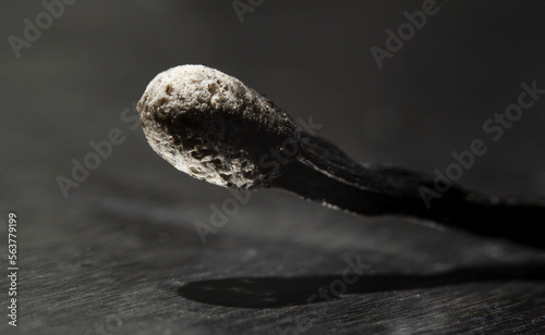 A close-up, macro image of a burnt match over foil