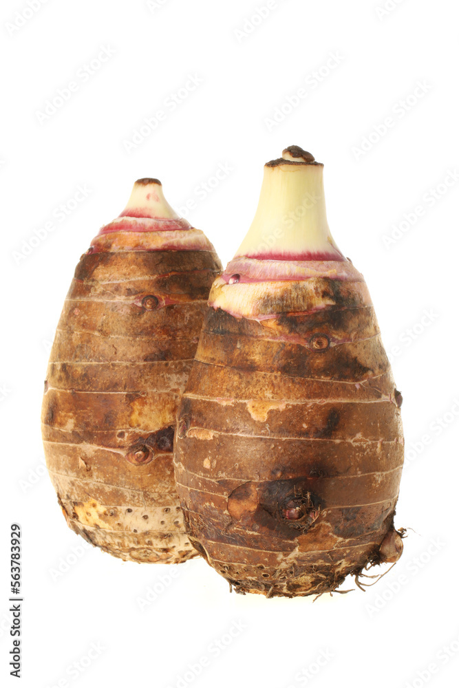 Taro on white background Taro on white background