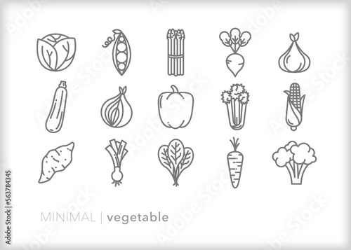 Set of vegetable line icons of foods, produce and ingredients for cooking and eating